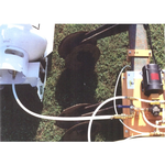 Little Soil Squirt - Image 2